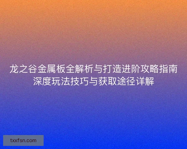 龙之谷金属板全解析与打造进阶攻略指南深度玩法技巧与获取途径详解